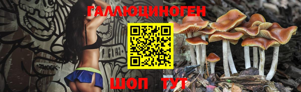 Галлюциногенные грибы MAGIC MUSHROOMS  Галлюциногенные грибы мухоморы  Острогожск  Вход с VPN 